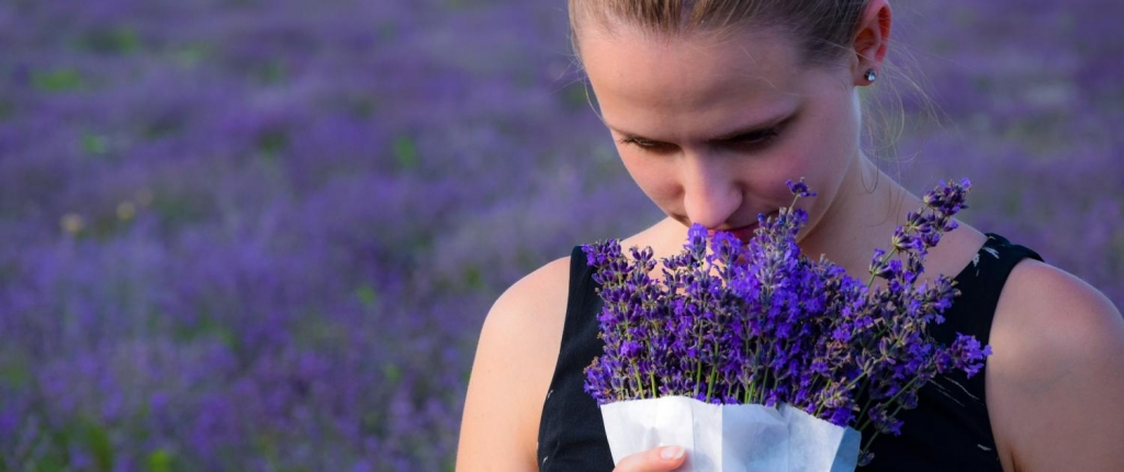 Lavendel - Ein angenehmer Geruch